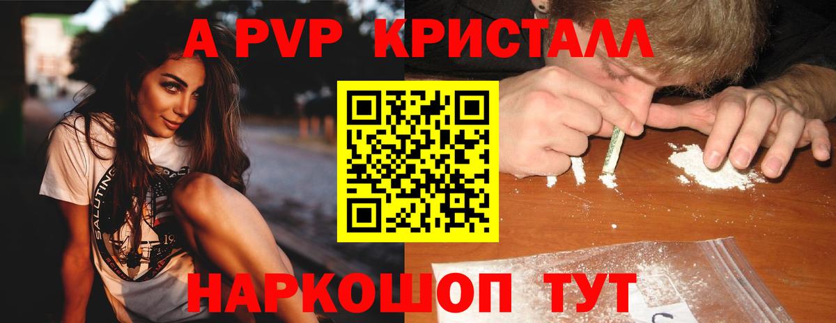 Печора  Alfa_PVP СК КРИС  купить   Вход с VPN  А ПВП 