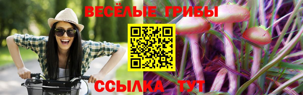 Галлюциногенные грибы Magic Shrooms Печора